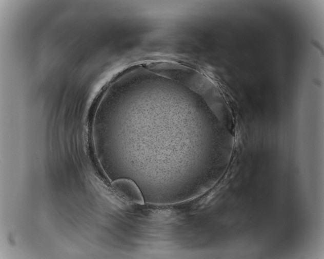X0000099470342200805161116