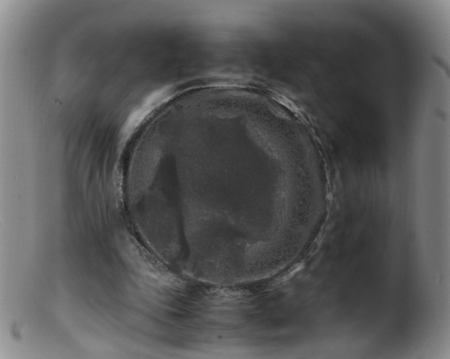 X0000099470343200805161116
