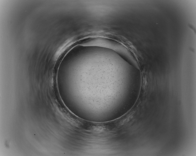 X0000099470344200805161116