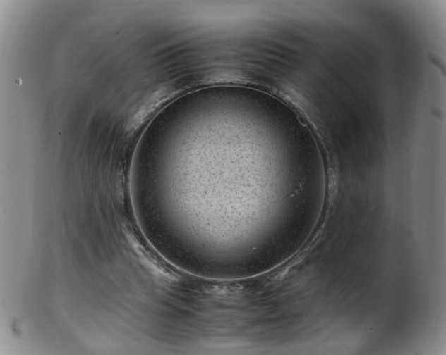 X0000099470345200805161116