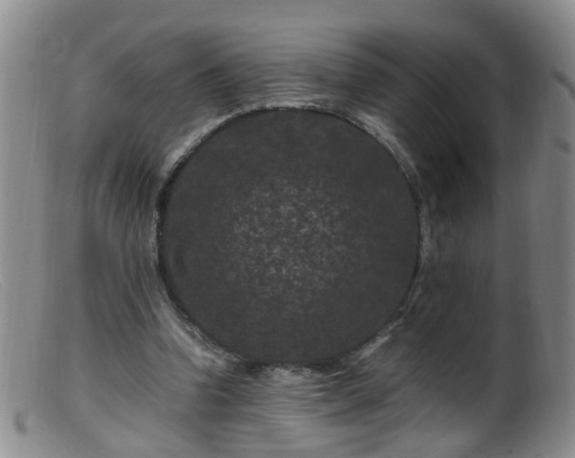 X0000099470346200805161116