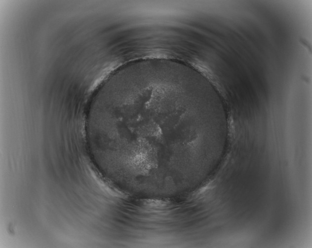 X0000099470347200805161116