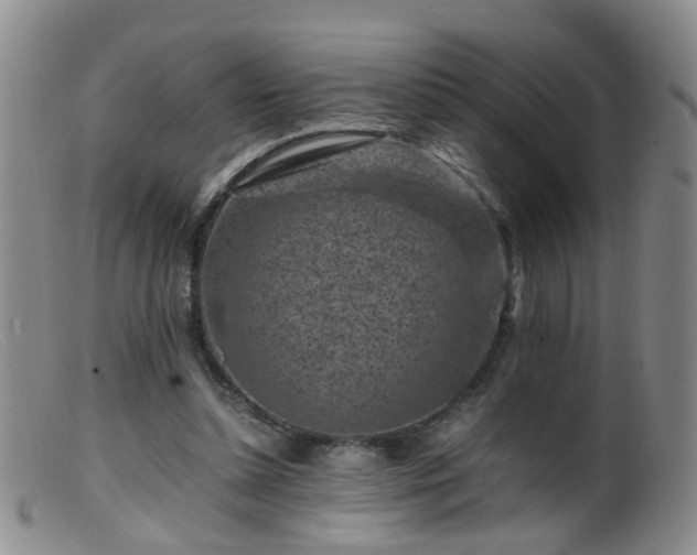 X0000099470348200805161116