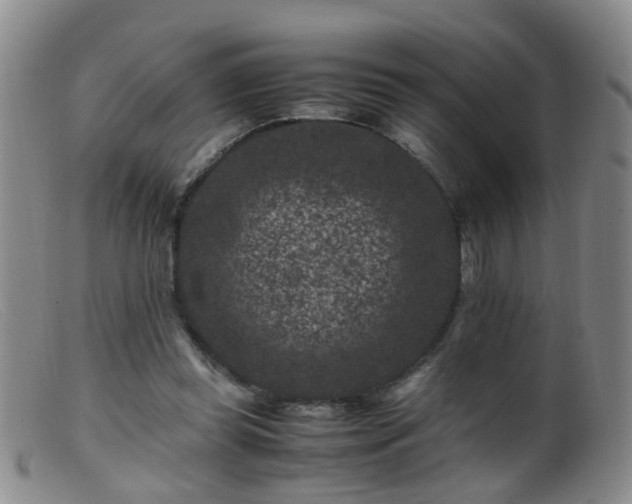 X0000099470349200805161116