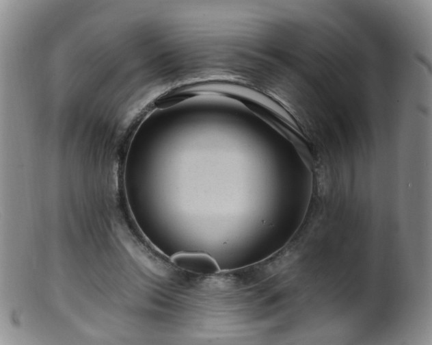X0000099470350200805161116