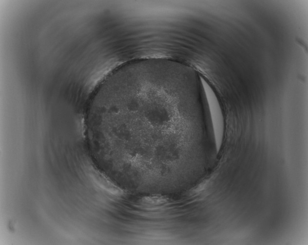 X0000099470351200805161116