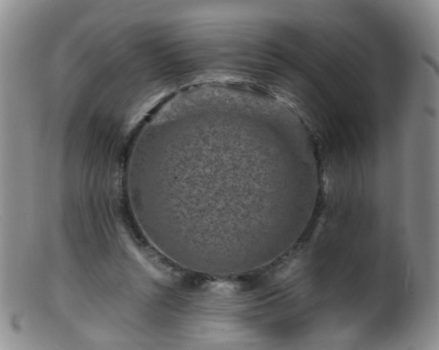 X0000099470352200805161116