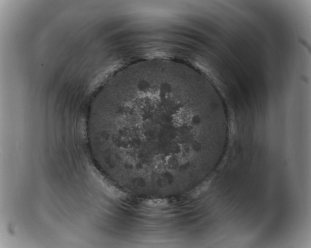 X0000099470353200805161116