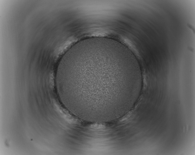 X0000099470354200805161116
