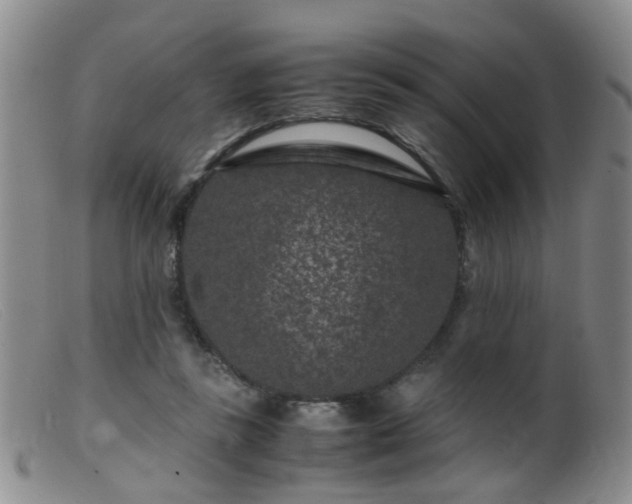 X0000099470355200805161116