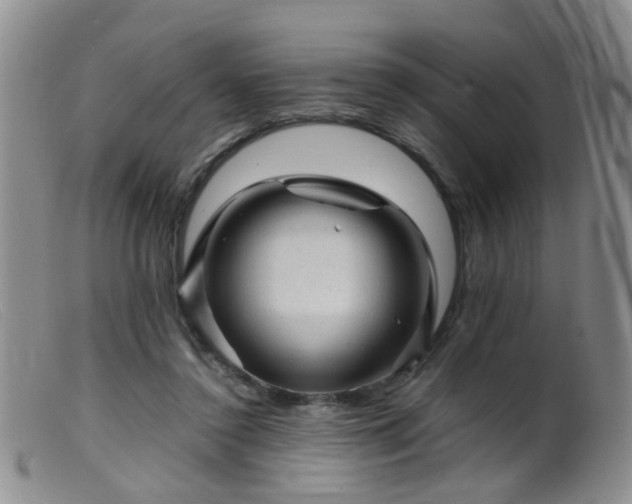 X0000099470356200805161116