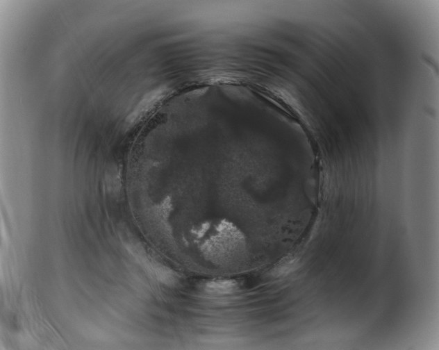 X0000099470357200805161116