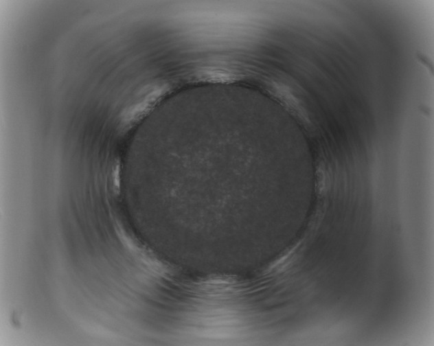 X0000099470358200805161116