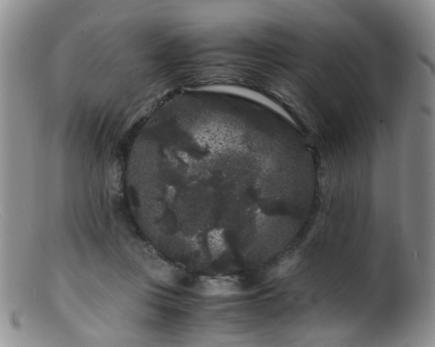 X0000099470359200805161116