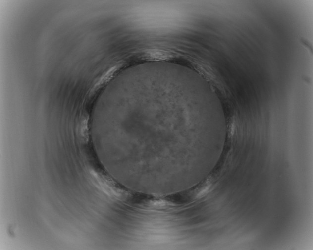 X0000099470360200805161116