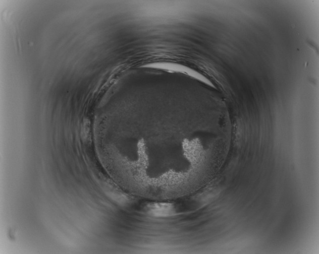 X0000099470361200805161116