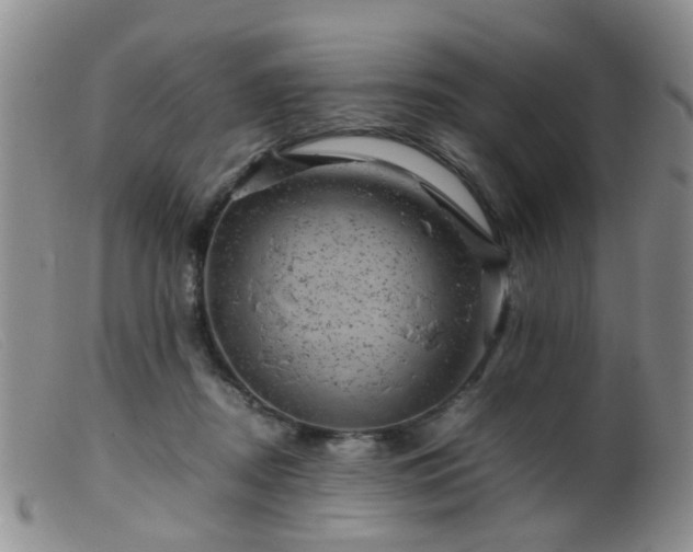 X0000099470362200805161116