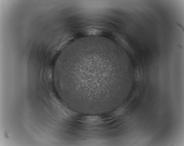 X0000099470363200805161116