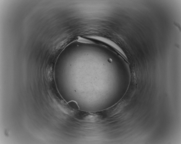 X0000099470364200805161116