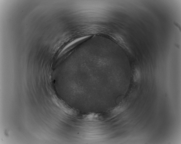 X0000099470366200805161116