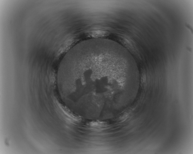 X0000099470367200805161116