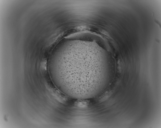 X0000099470368200805161116