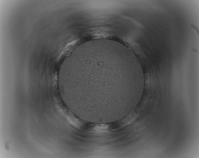 X0000099470369200805161116
