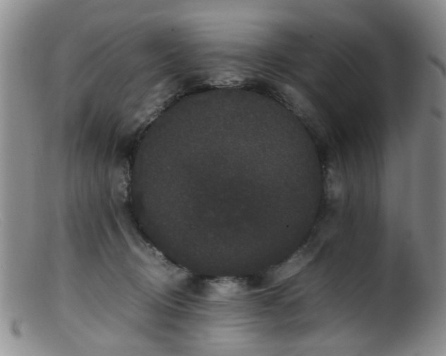 X0000099470370200805161116