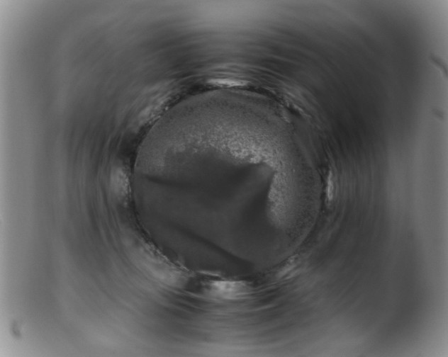 X0000099470371200805161116