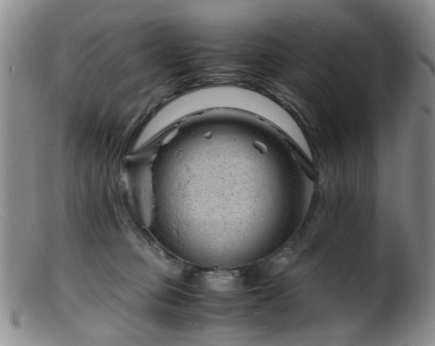 X0000099470373200805161116