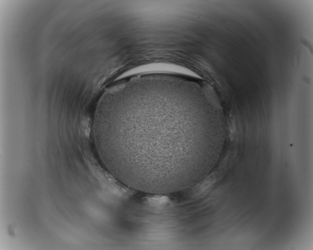 X0000099470374200805161116