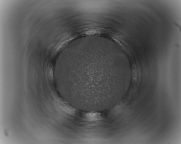 X0000099470375200805161116