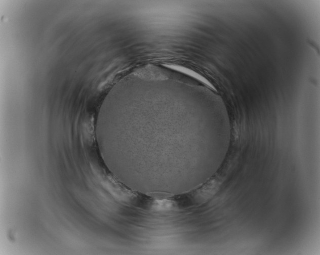 X0000099470376200805161116