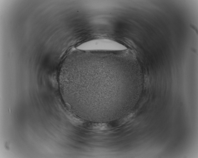 X0000099470377200805161116