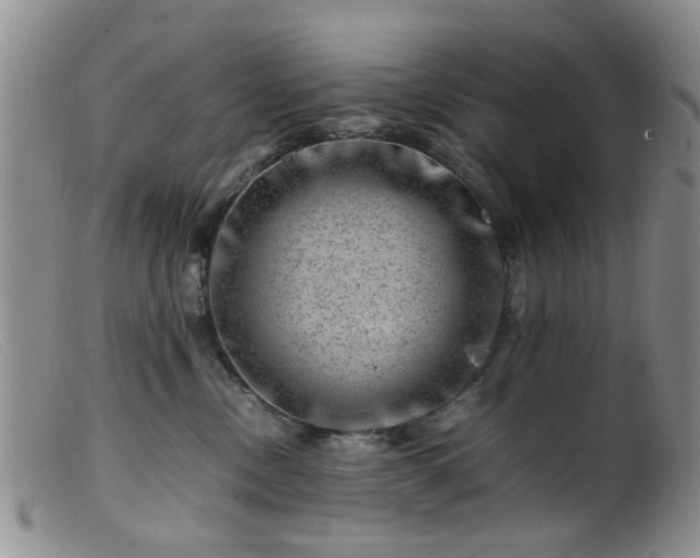 X0000099470378200805161116