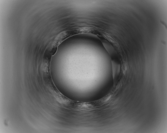 X0000099470379200805161116