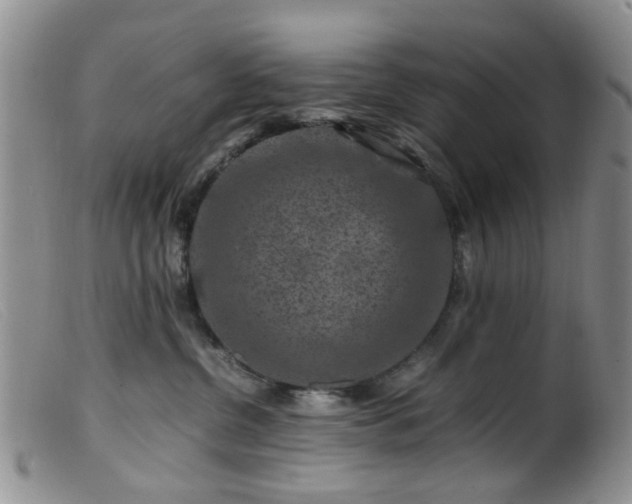 X0000099470380200805161117