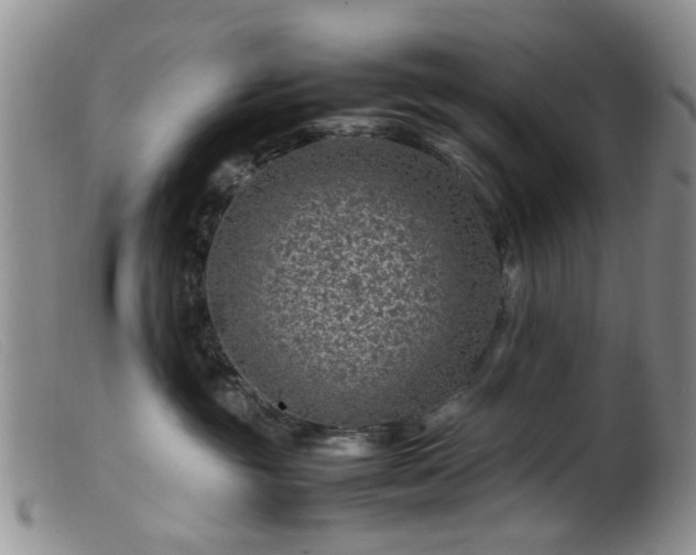 X0000099470381200805161117