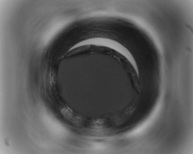 X0000099470382200805161117