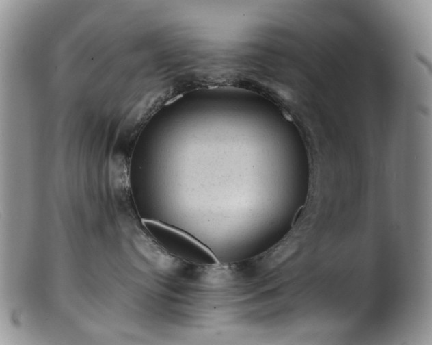 X0000099470384200805161117