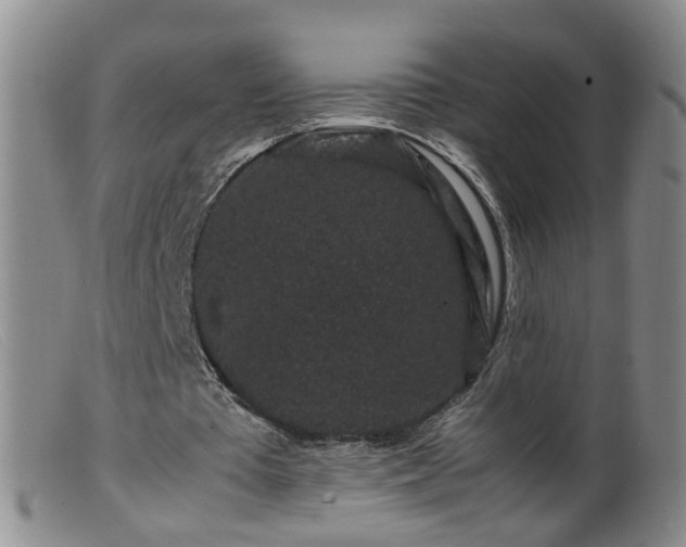 X0000099470385200805161116