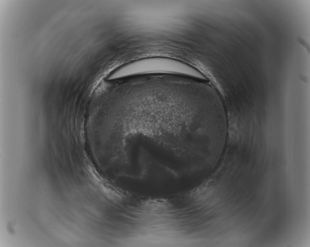 X0000099470386200805161116