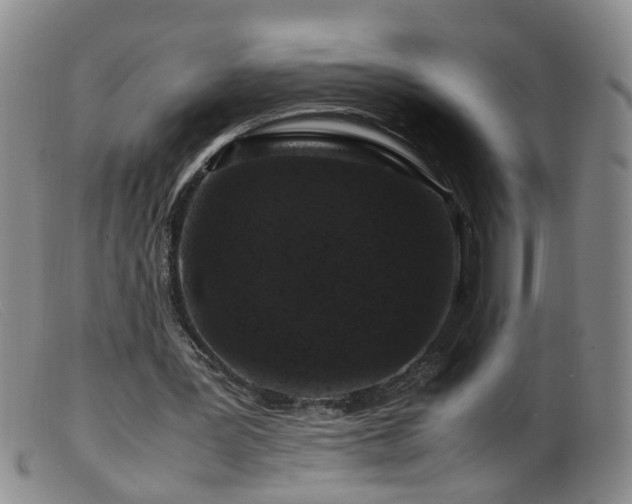 X0000099470387200805161116