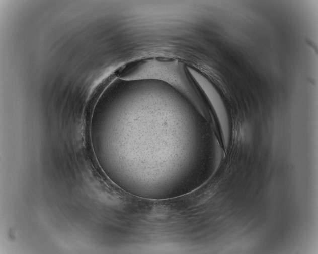 X0000099470388200805161116