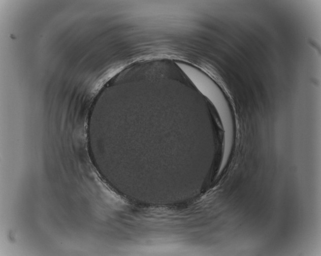 X0000099470389200805161116