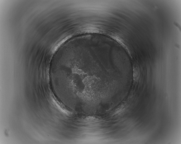 X0000099470390200805161116