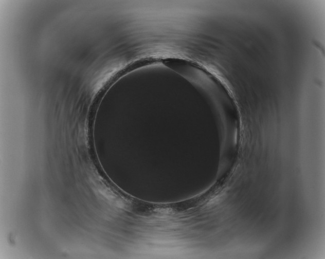 X0000099470391200805161116