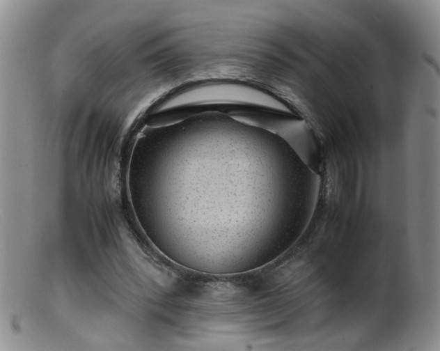 X0000099470392200805161116