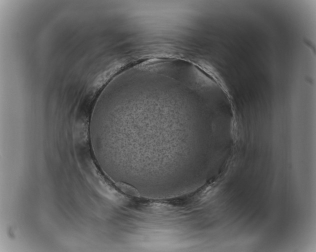 X0000099470393200805161116