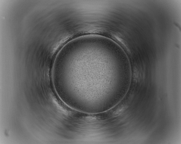 X0000099470394200805161116